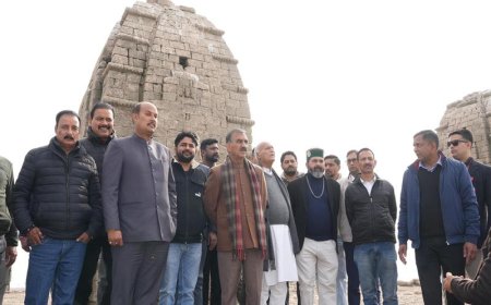 CM directs forest dept to ensure safety of migratory birds in Himachal Pradesh